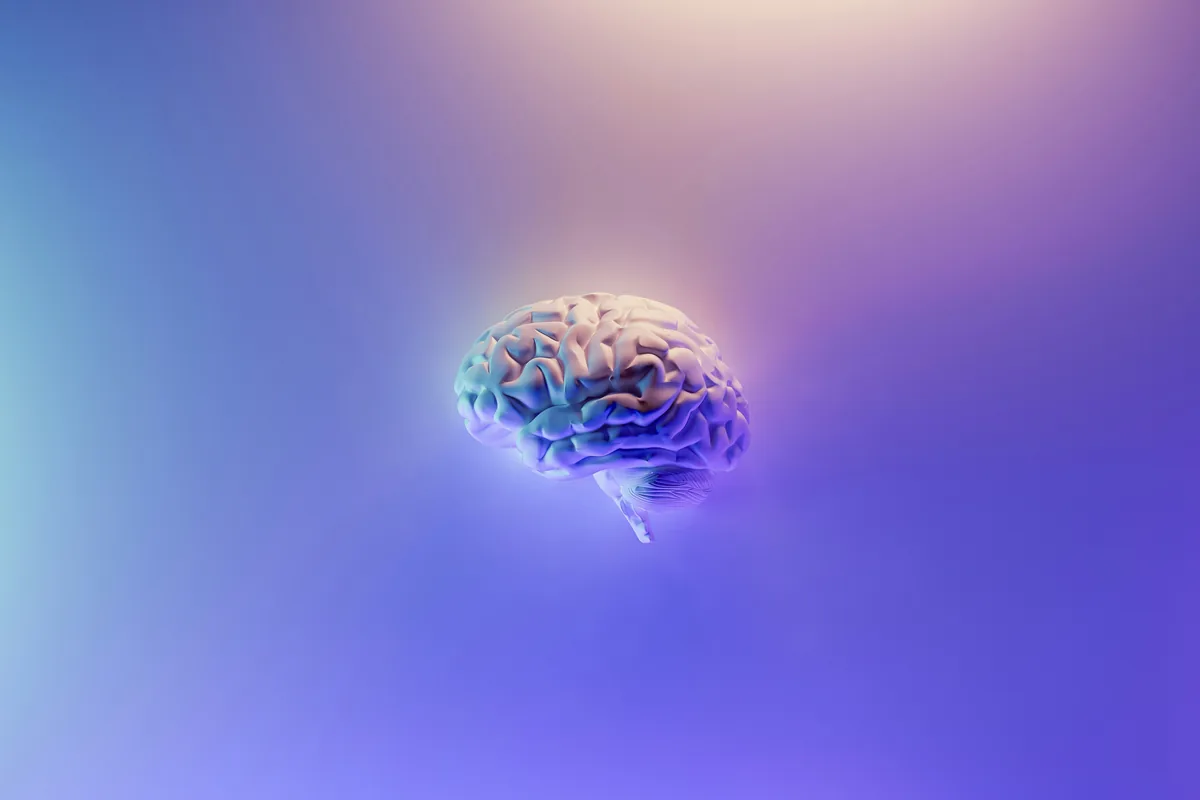 Rappresentazione artistica del cervello su sfondo blu e viola